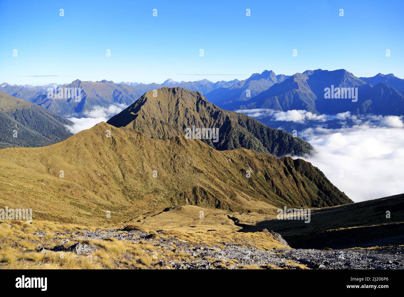 Kepler Track Fiordland Neuseeland Stockfoto