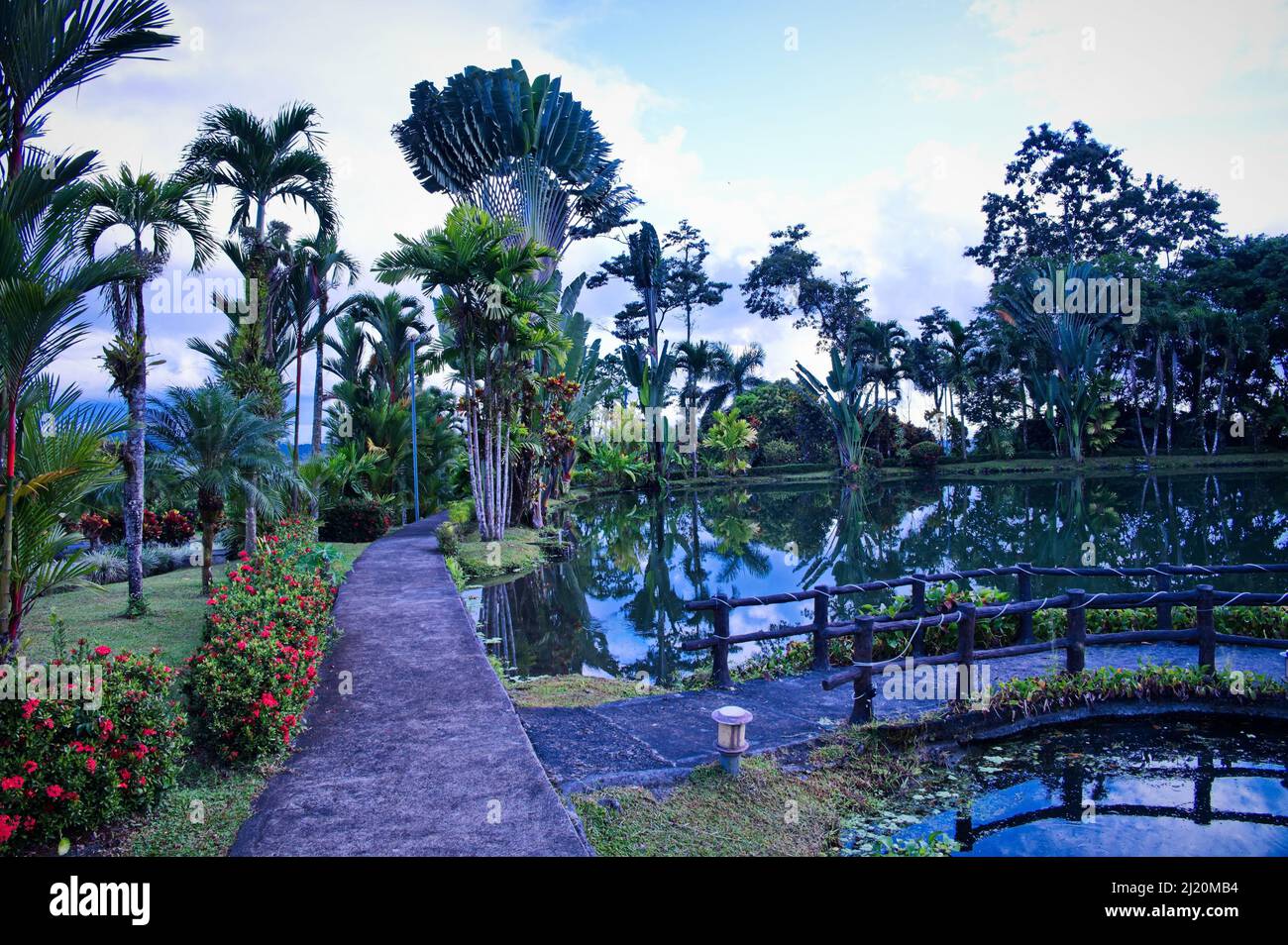 Hotelresort mit wunderschönen tropischen Pflanzen Stockfoto