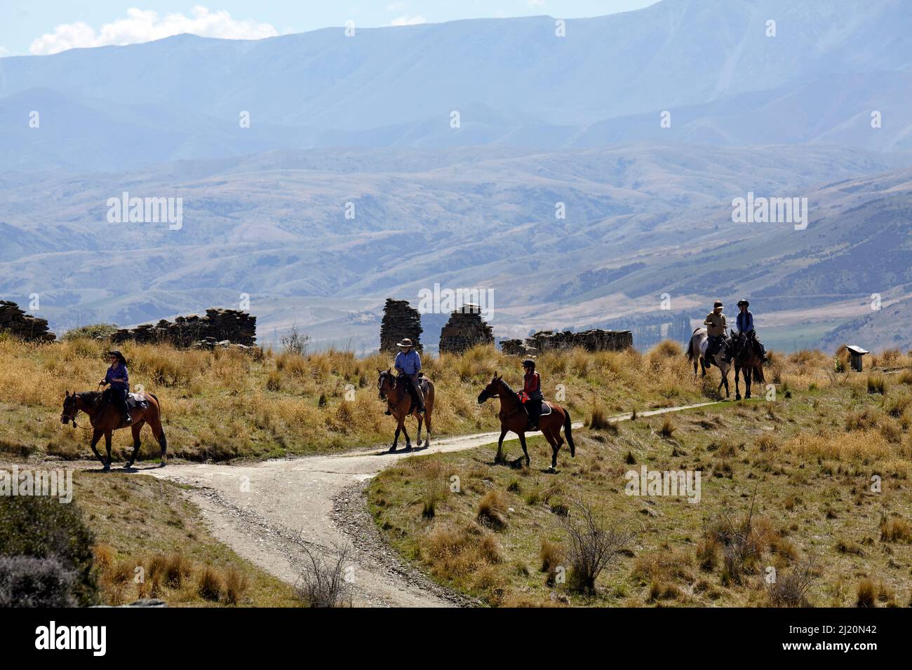 Horses and Historic Goldminer Cottages, Bendigo Ghost Town, Central Otago, South Island, Neuseeland Stockfoto