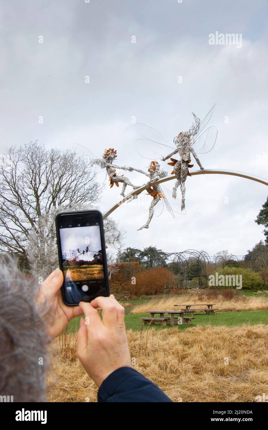 Eine Frau mittleren Alters fotografiert auf dem iPhone die Drahtskulptur von Feen und Löwenzahnuhr in Trentham Gardens, von Robin Wight Fantasy Wire Stockfoto