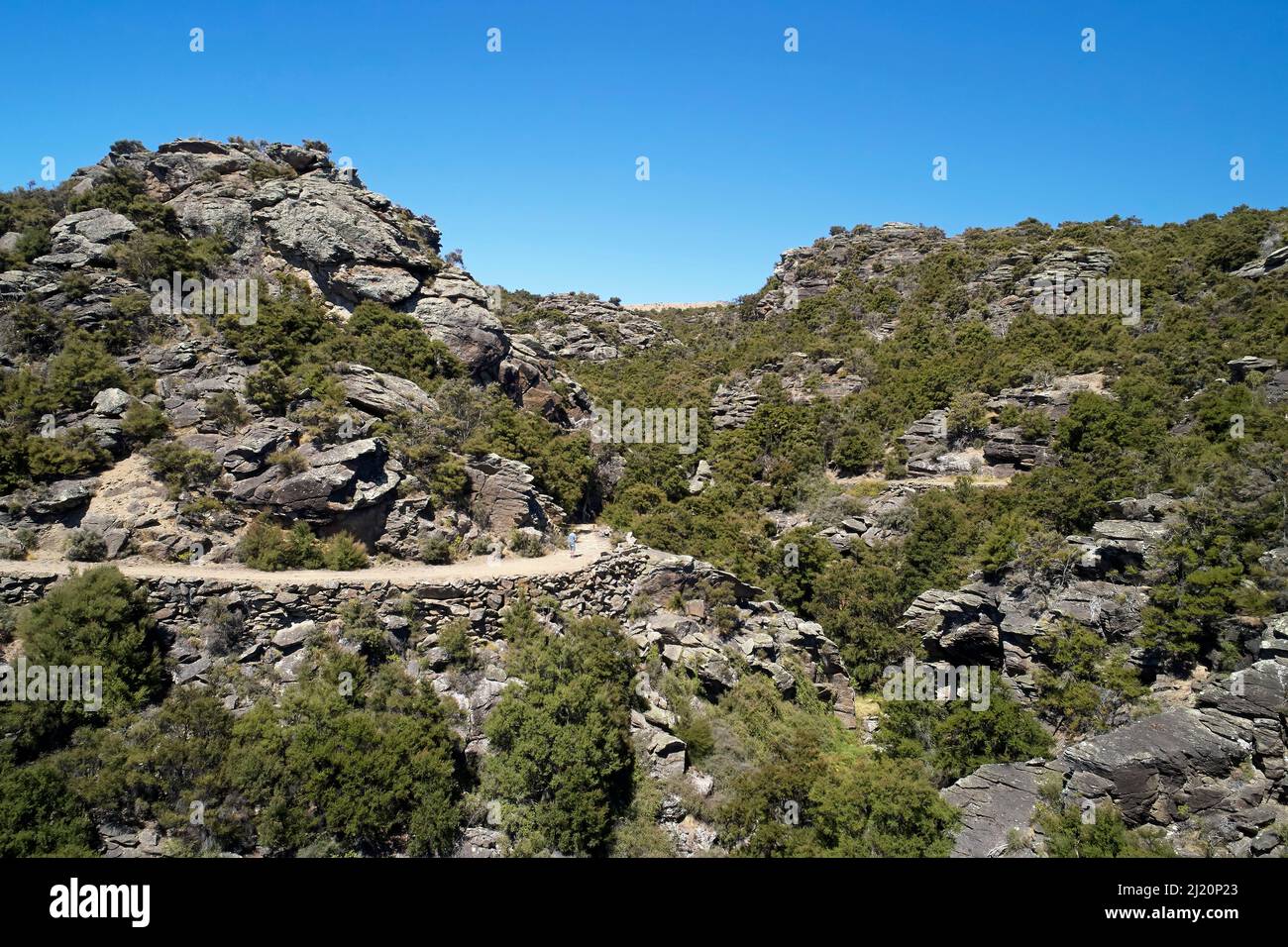 Remnant kanuka Forest and Aurora Track, Bendigo Ghost Town, Central Otago, South Island, Neuseeland - Drohnenantenne Stockfoto