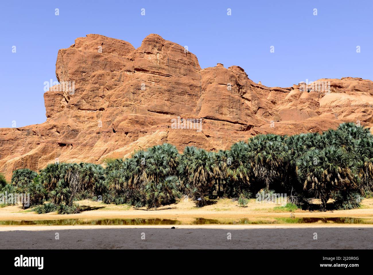 Erodierte Sandsteinfelsen und Bäume im Natur- und Kulturreservat Ennedi, UNESCO-Weltkulturerbe, Sahara-Wüste, Tschad. September 2019. Stockfoto