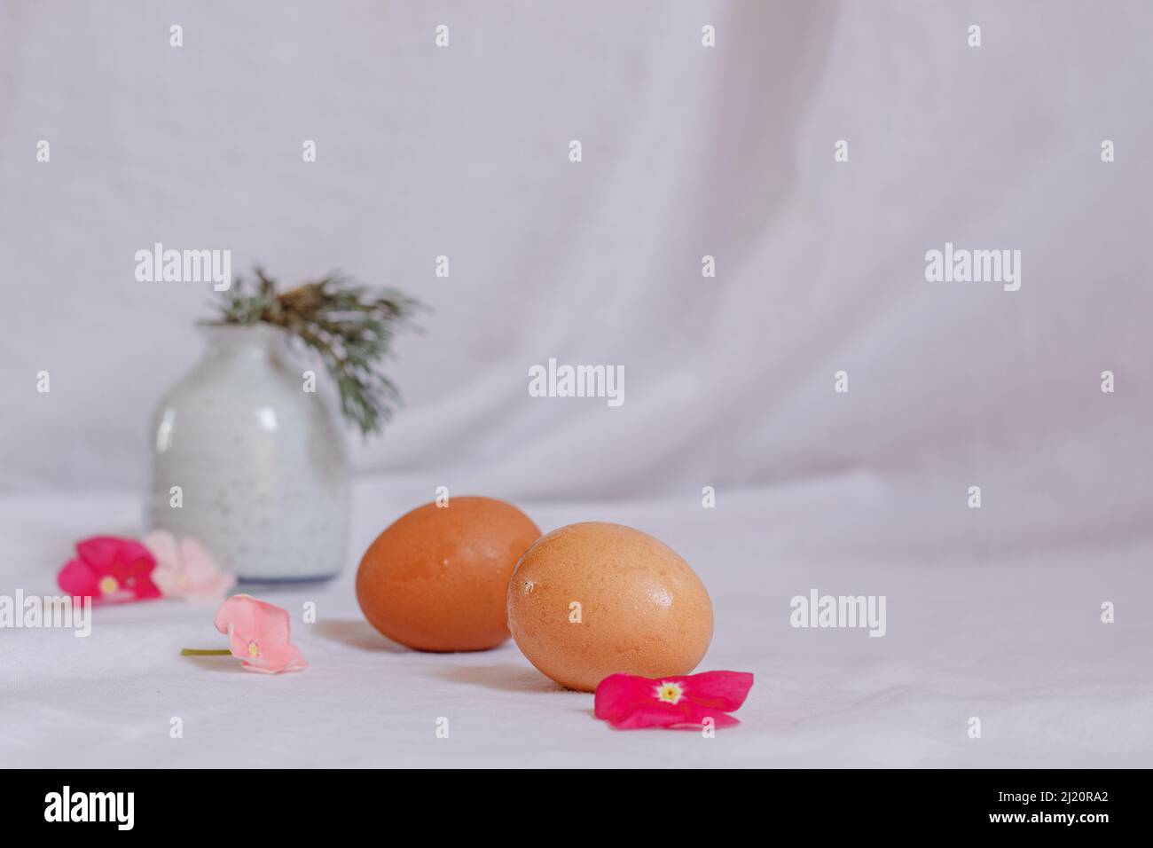 Helles und luftiges, ästhetisches Osterstillleben, das die frischen und sanften Gefühle der Frühjahrssaison vermittelt Stockfoto