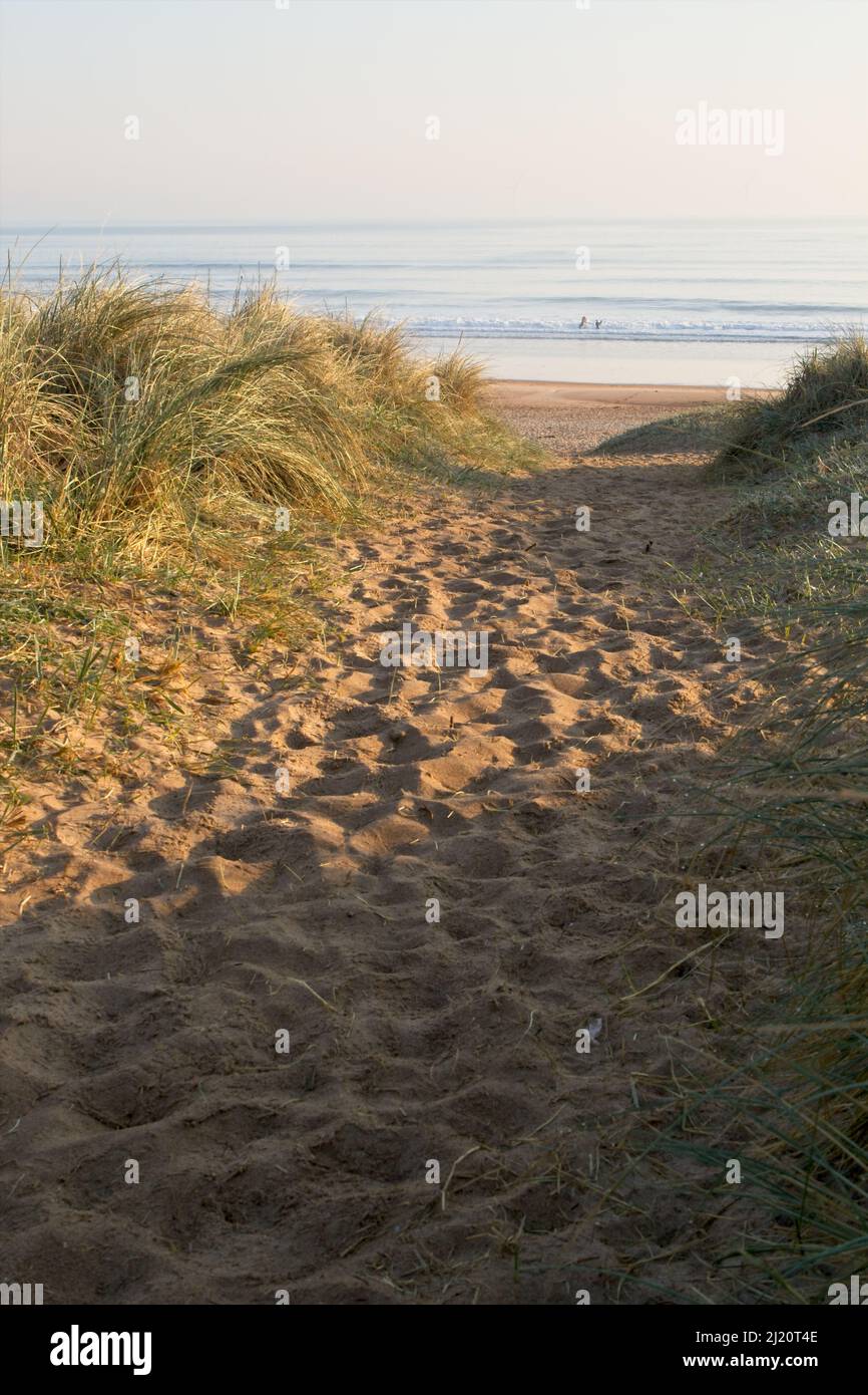 Ein sandiger Weg führt durch die Dünen zu einem schönen Strand bei Seaton Sluice in North Tyneside an der Nordseeküste. Stockfoto