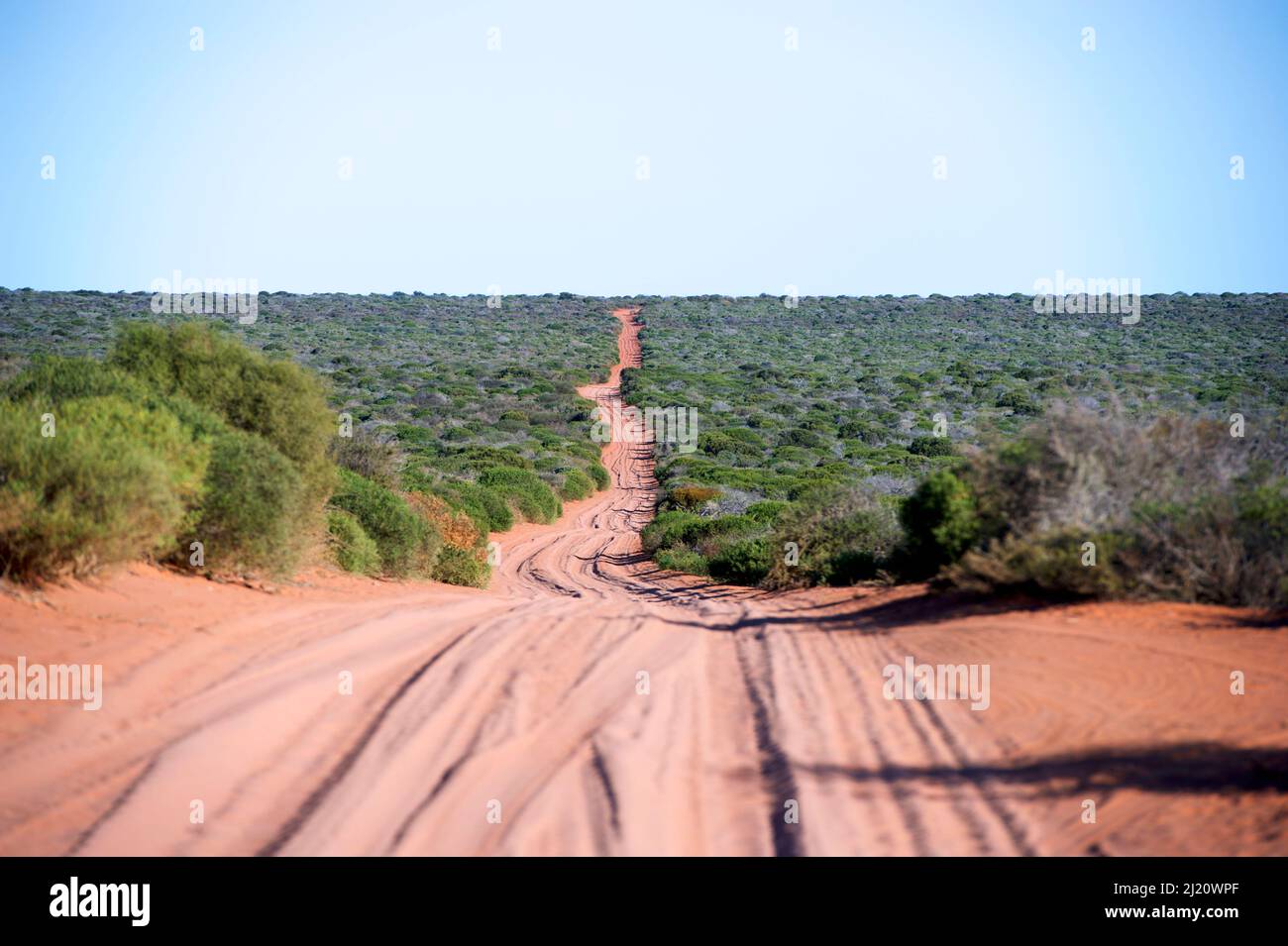 Unbefestigte Straße durch das Shrobland. Francois Peron National Park, Shark Bay, Westaustralien. Oktober 2019. Stockfoto