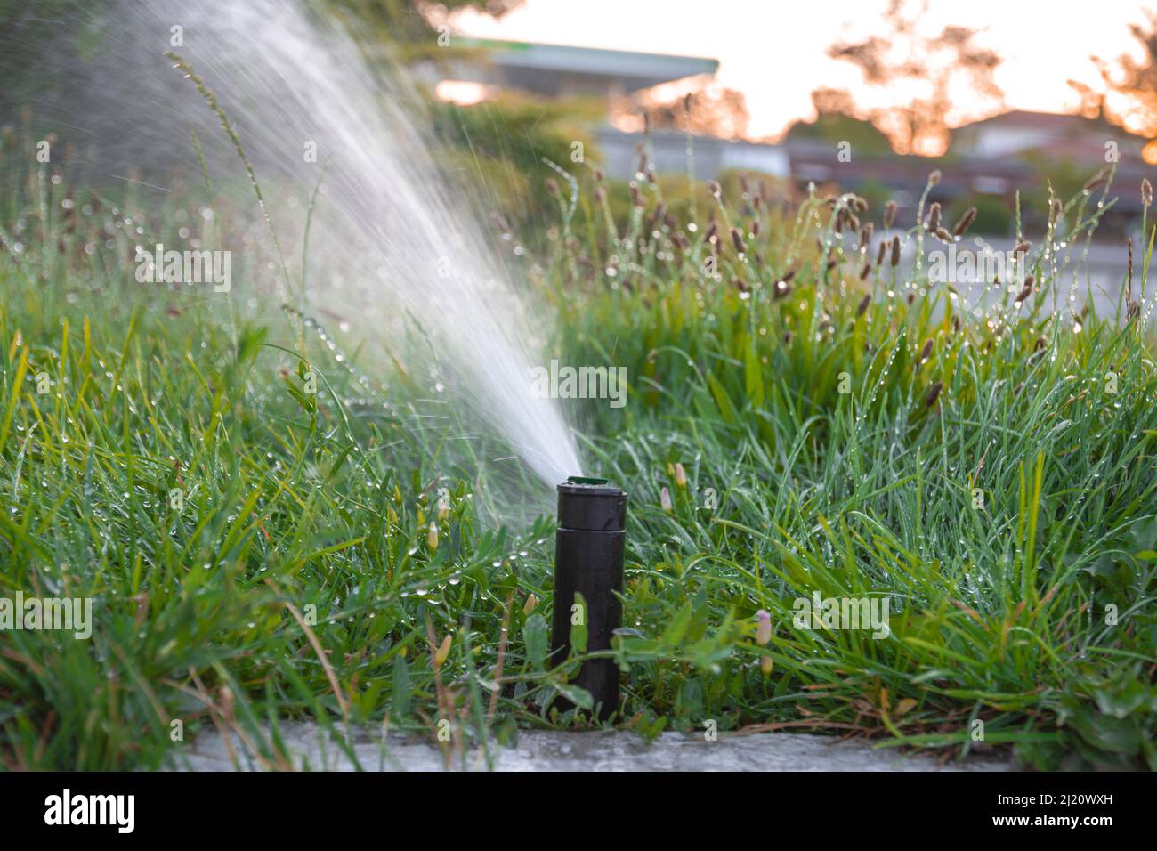 Gartenbewässerungsmechanismus. Sprinkler in Nahaufnahme. Selective Focus Sprinkler Stockfoto