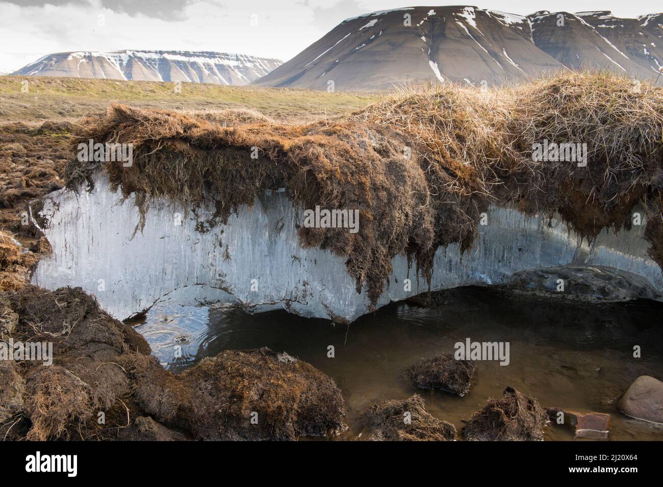 Freiliegender schmelzender Permafrost im arktischen archipelego von Svalbard, Norwegen. Juni 2016. Stockfoto