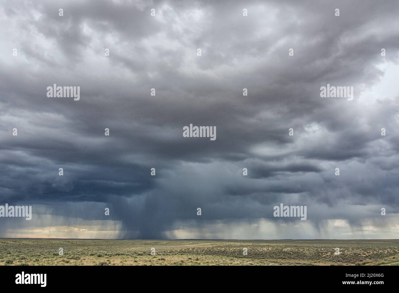 In der Red Desert, Wyoming, USA, kommt es zu einem Mikroplatzen der Sturmzelle, der mit Regen aufsetzt. Mai. Stockfoto