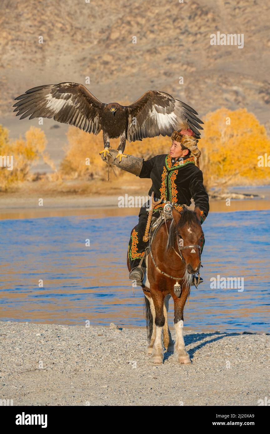 Der junge kasachische Jäger des Goldenen Adlers mit seinem Adler. Westliche Mongolei. Stockfoto