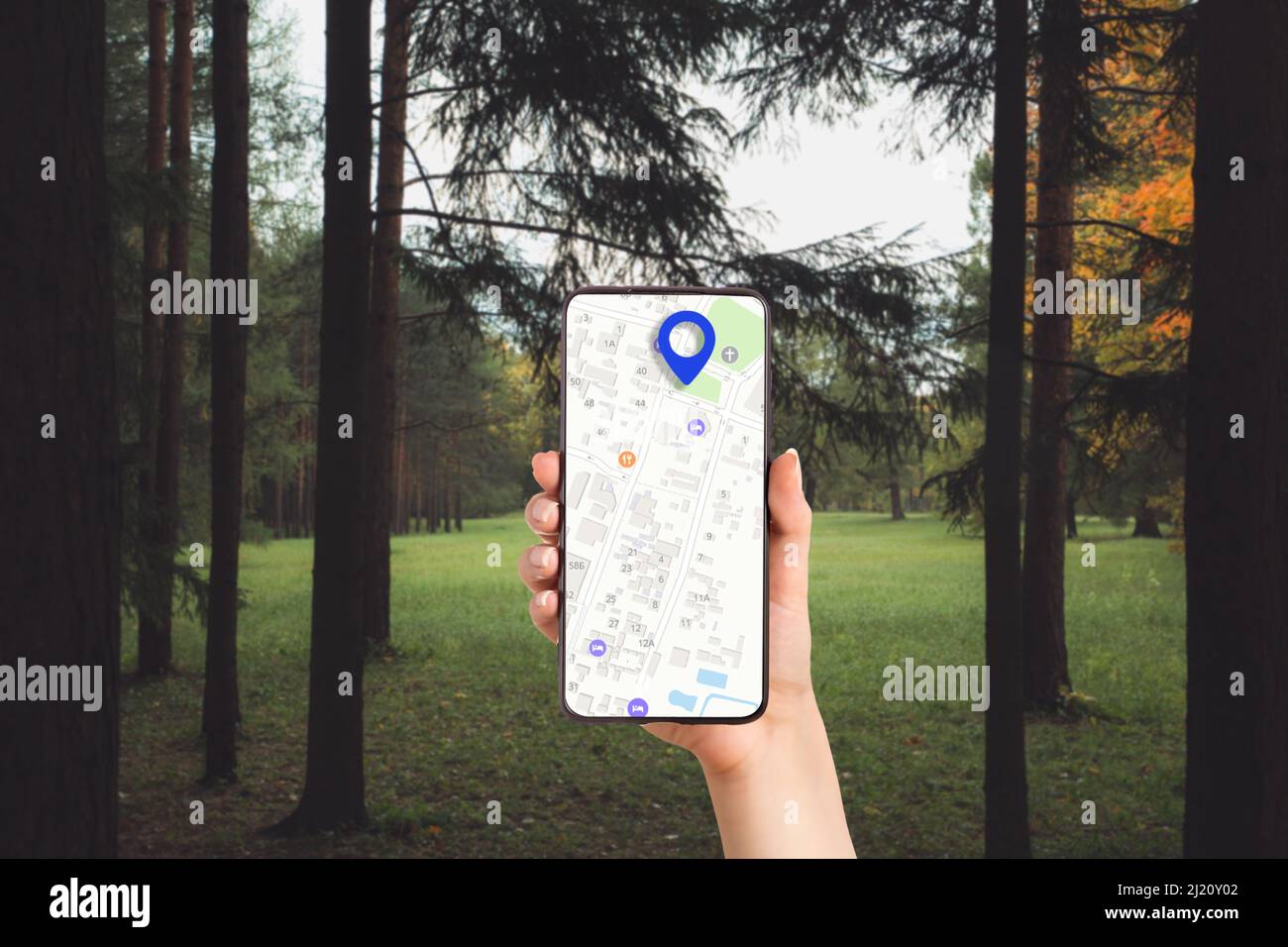 Die Hand einer Frau, die ein Mobiltelefon mit einer Online-Karten-App hält, die Hand aus nächster Nähe. Im Hintergrund ein dunkler Wald. Das Konzept der Online-Navigation, bekam l Stockfoto