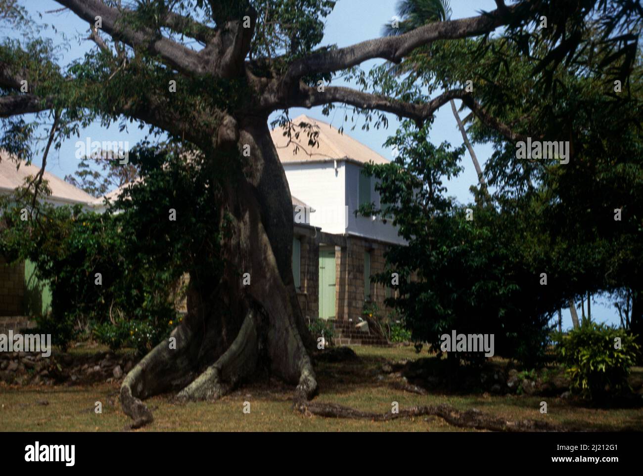 Nevis St. Kitts Montpellier House Stockfoto