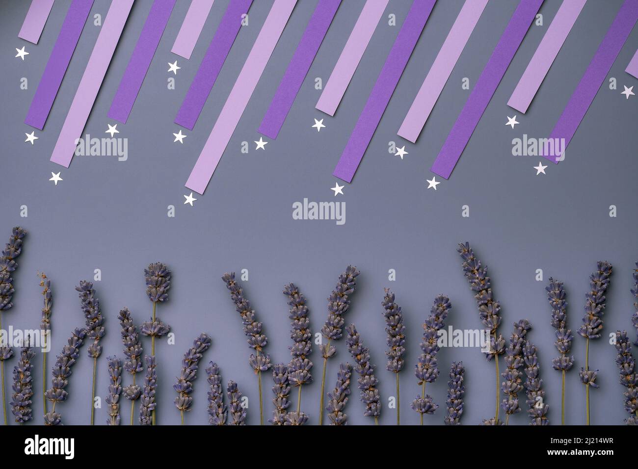 Silberne Sternschnuppen Konfetti und trockene Lavendelblüte auf violettem Hintergrund. Lavendelfeld auf einem sternenklaren, minimalistischen Konzept. Schlaf Gesundheit Aromath Stockfoto