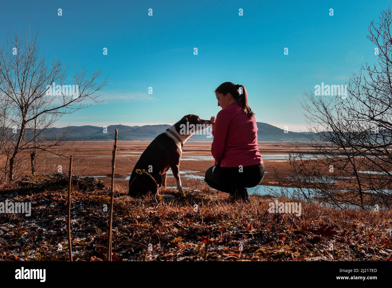 Ein Mädchen, das ihren Hund in der Natur trainiert Stockfoto