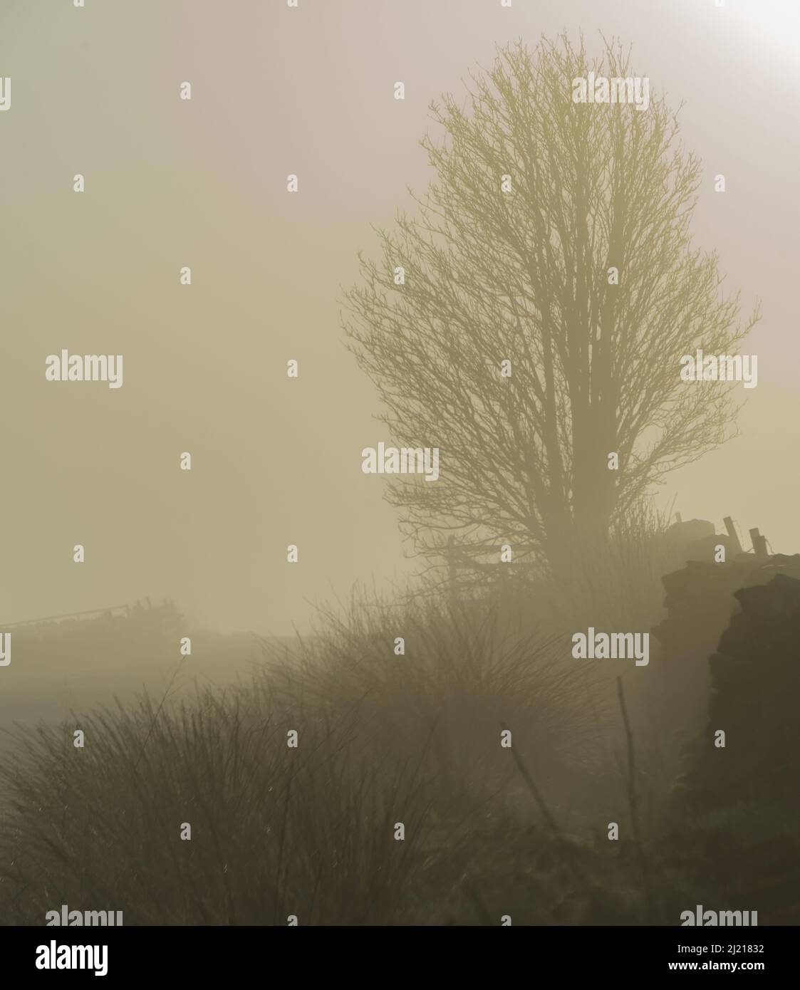 Nebel über einem Moor in Northumberland, Großbritannien Stockfoto