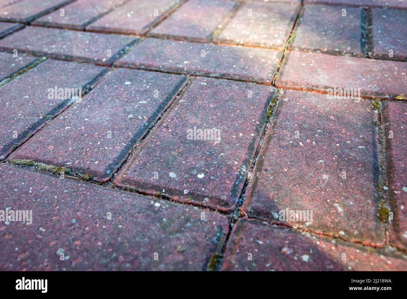 Rechteckige rote Pflastersteine auf dem Boden gelegt Stockfoto