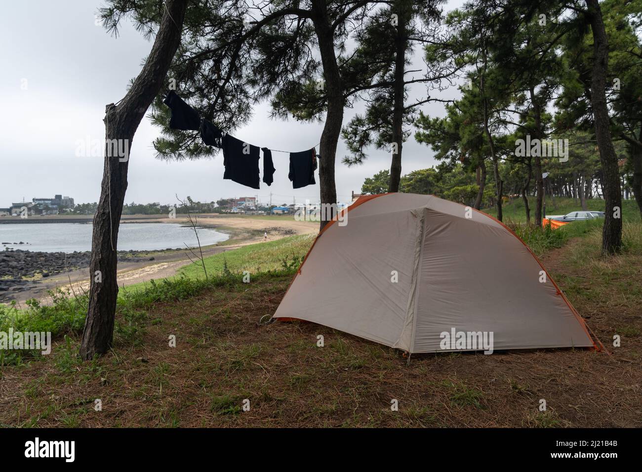 Ein Zelt, das in einem Pinienwald mit Blick auf den geschwungenen Hamo-Strand aufgestellt ist, mit Wäsche, die zum Trocknen zwischen den Bäumen aufgereiht wurde. Olle Trail Route 10, Südkorea. Stockfoto