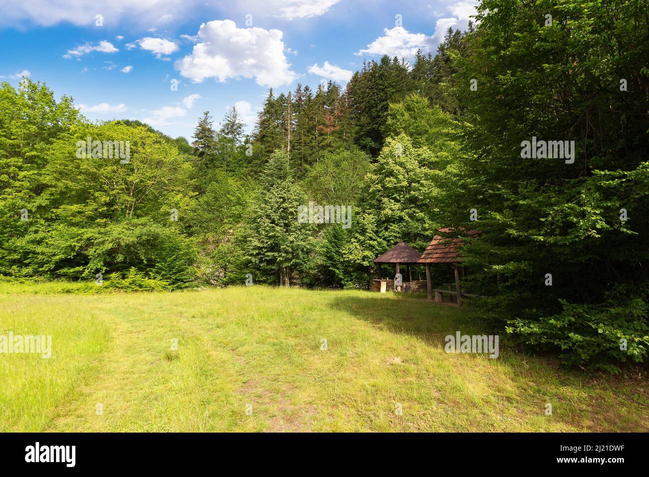 Weite Waldlichtung zwischen den Bergen. Schöne Sommerlandschaft der ukrainischen karpaten. Bäume in grünem Laub unter einem blauen Himmel mit flauschigen Clou Stockfoto