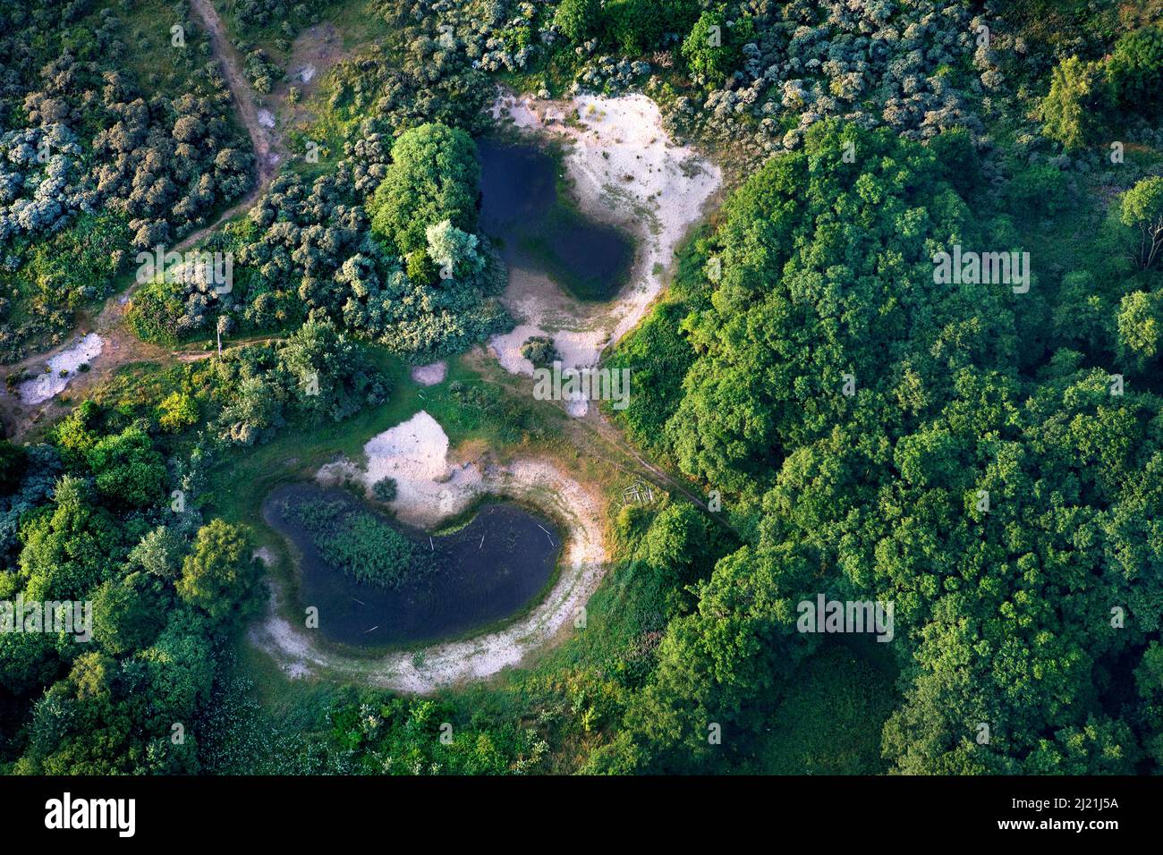 Naturschutzgebiet Oosthoekduinen, Luftaufnahme, Belgien, Flandern, De Panne Stockfoto