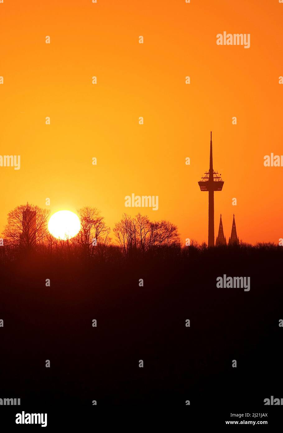 sonnenaufgang über der Silhouette von Köln mit Telekommunikationsturm Colonius und Dom, Deutschland, Nordrhein-Westfalen, Rheinland, Köln Stockfoto
