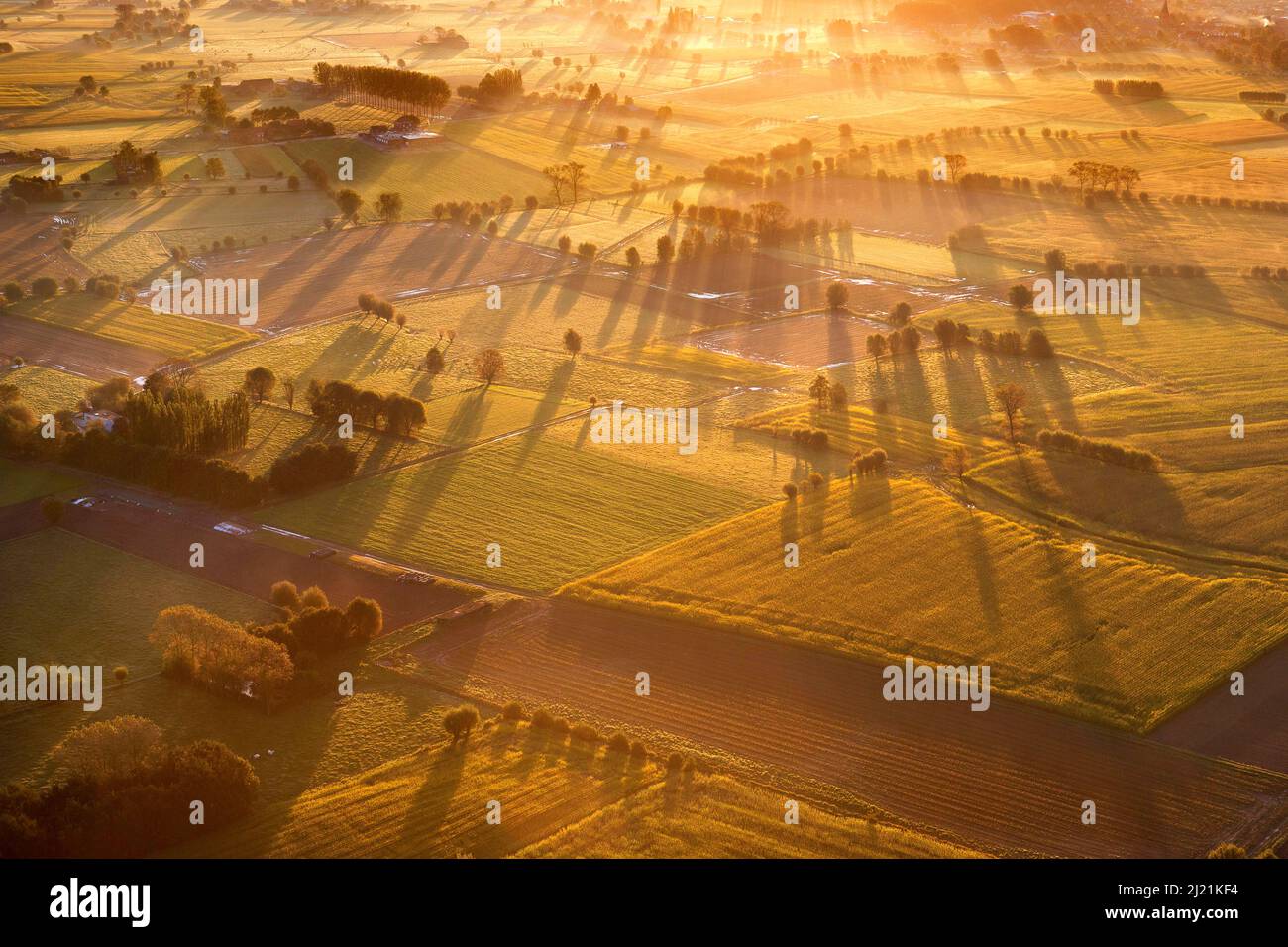 Brugs Ommeland im Morgenlicht, Luftaufnahme, Belgien, Flandern Stockfoto