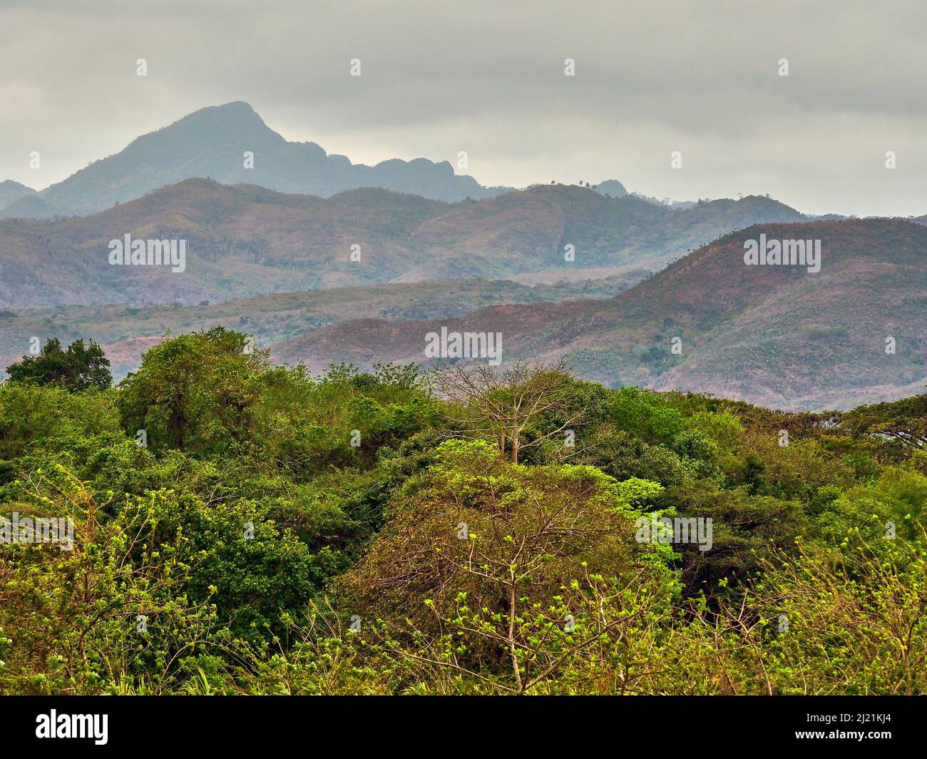 Bewaldete Hänge der Topes de Collantes im Valle de los Ingenios, Kuba, Sancti Spiritus Stockfoto