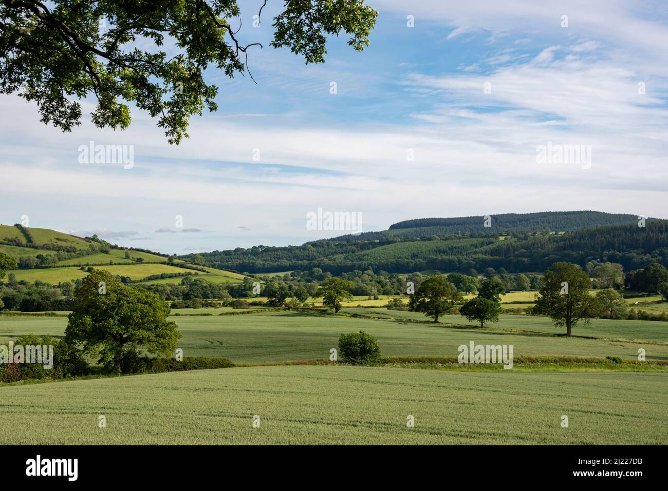 Grüne und angenehme Landschaft in der Nähe von Church Stretton, Shropshire, Großbritannien Stockfoto