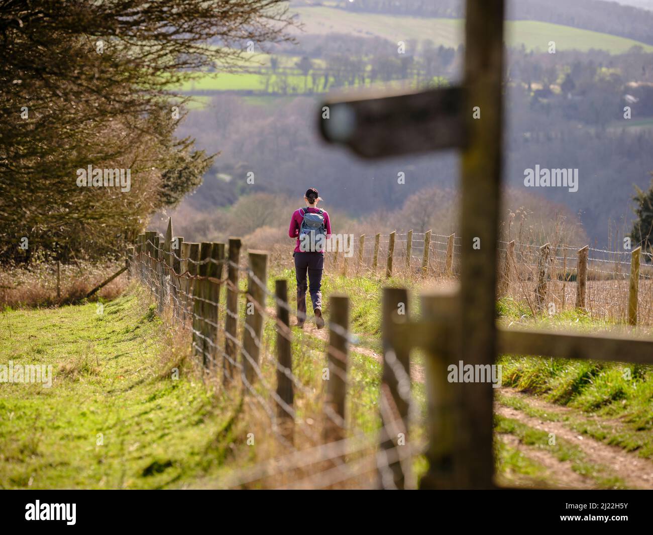 Spaziergang von West nach Ost eine junge Frau läuft auf dem Beacon Hill auf dem South Downs Way in der Nähe des Dorfes Exton, Hampshire, Großbritannien Stockfoto
