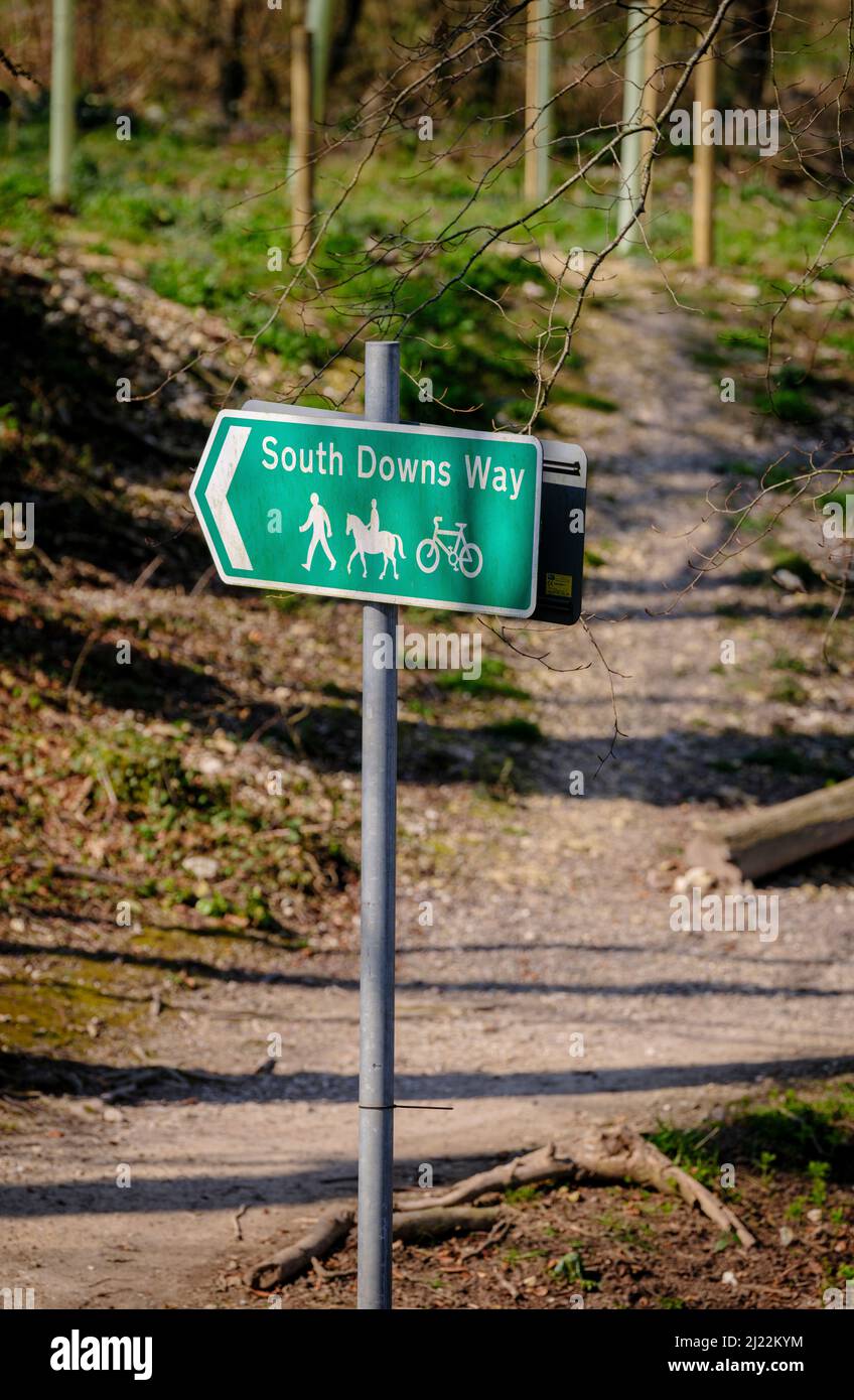 Der South Downs Way führt durch den National Trust - Harting Down Stockfoto