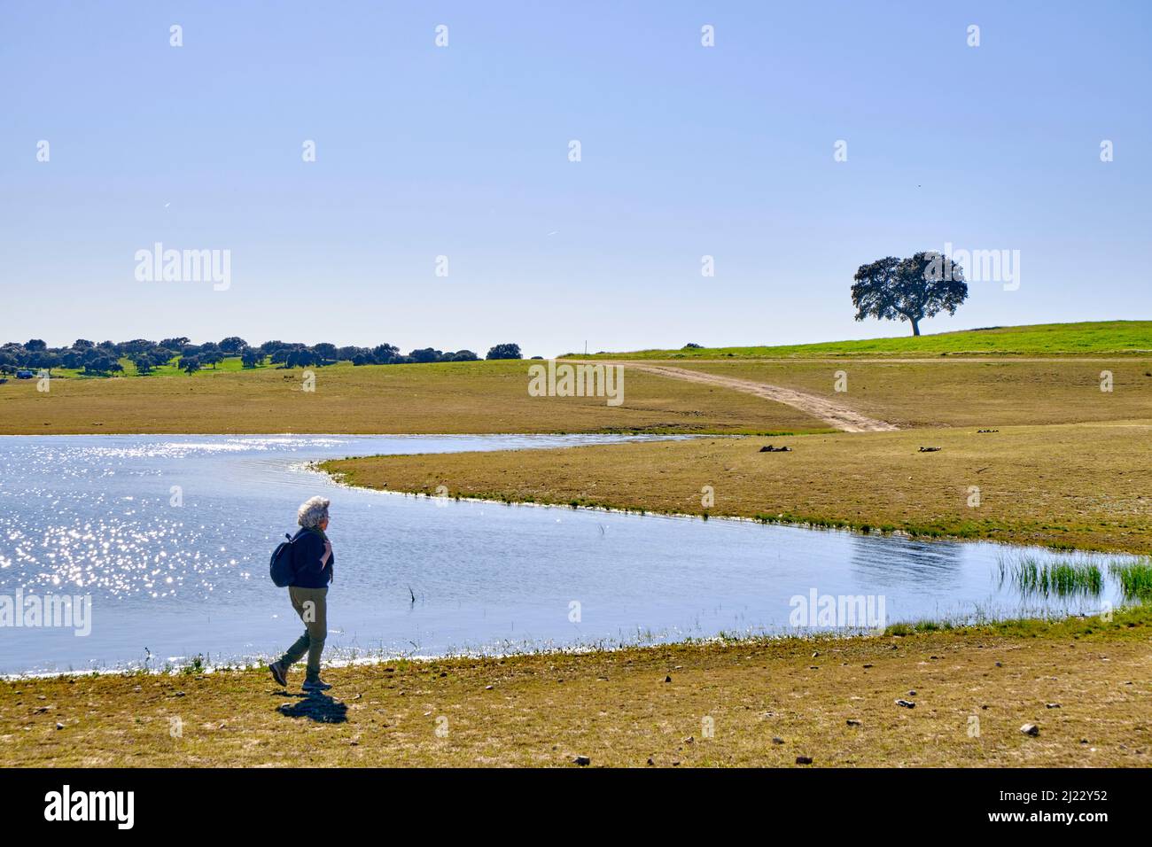 Pego do Altar Dam, Santa Susana. Alentejo, Portugal Stockfoto