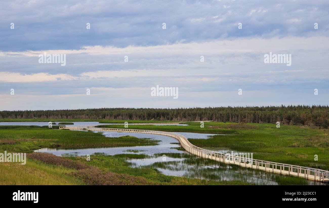 Der Blick auf einen Fluss mit einer langen schmalen Holzbrücke. Cavendish Dunelands Trail, Prince Edward Island National Park. Stockfoto