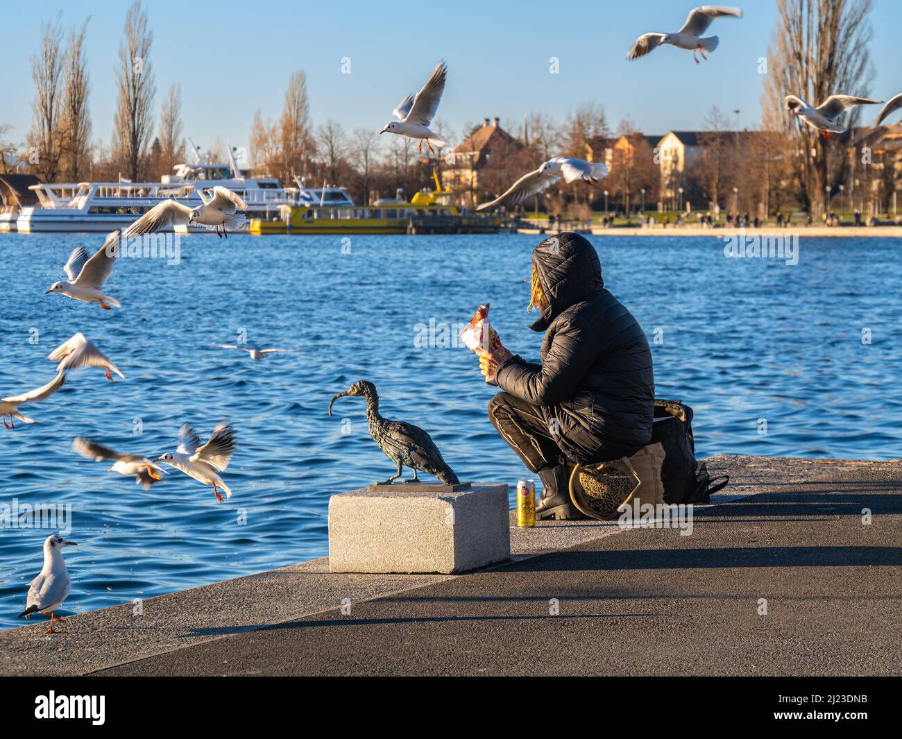 Zug, Schweiz - 31. Dezember 2021: Eine einsame Frau sitzt am Rande des Wassers und füttert Vögel, umgeben von fliegenden Möwen Stockfoto
