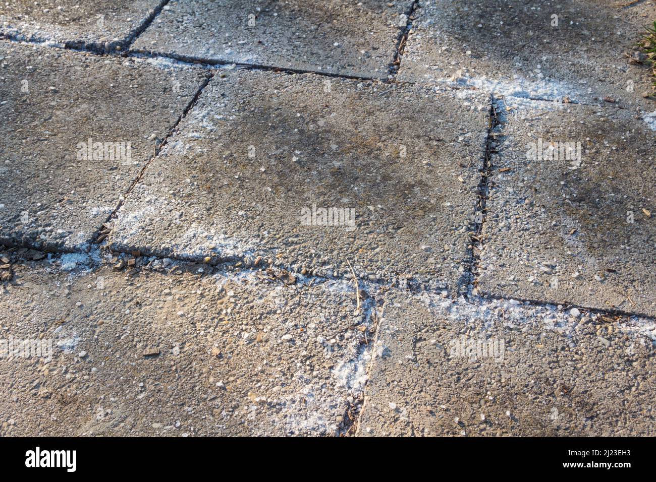 Unkrautvernichtungspulver wurde auf Betonfliesen auf dem Boden gestreut Stockfoto