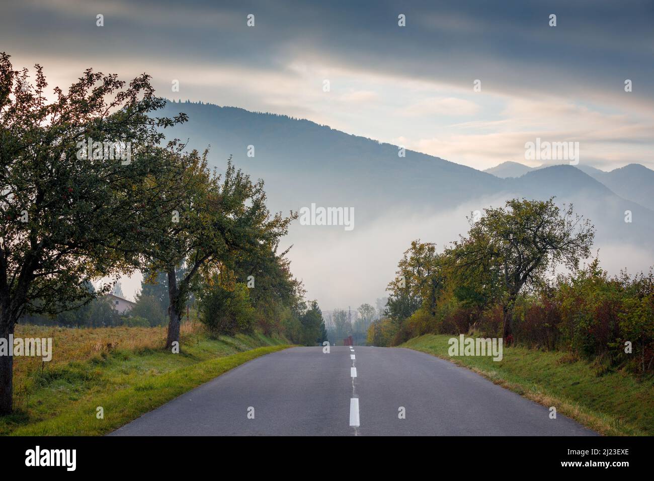 Straße mit Bergen im Hintergrund an einem nebligen Herbstmorgen. Stockfoto