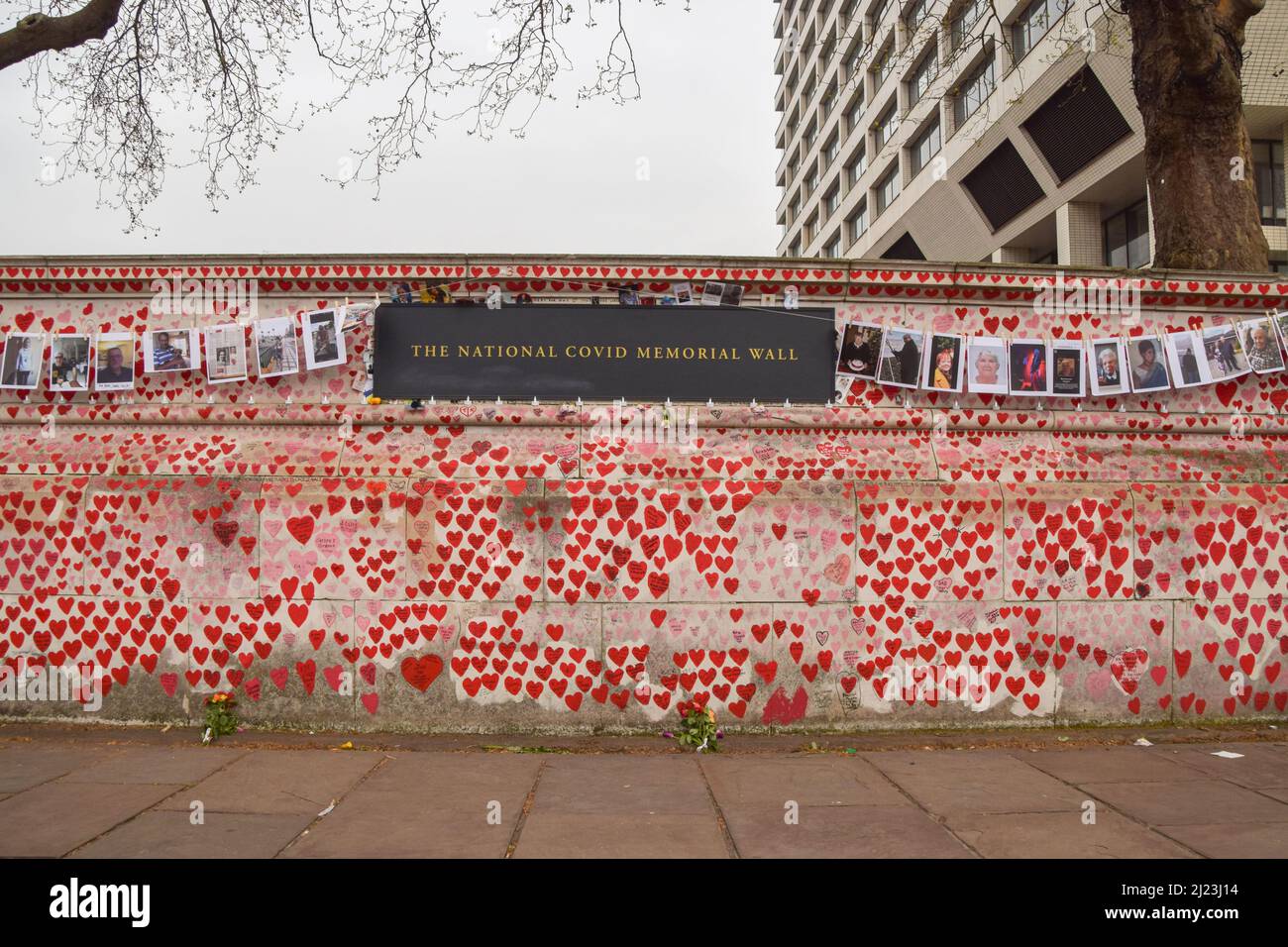 London, England, Großbritannien. 29. März 2022. Ein Jahr seit der Entstehung des Denkmals wurden an der National Covid Memorial Wall Fotos von Menschen aufgehängt, die ihr Leben durch das Coronavirus verloren haben. Bis heute wurden über 150.000 rote Herzen an die Wand vor dem St. Thomas' Hospital gemalt, eines für jedes Leben, das Covid-19 verloren hat. (Bild: © Vuk Valcic/ZUMA Press Wire) Stockfoto