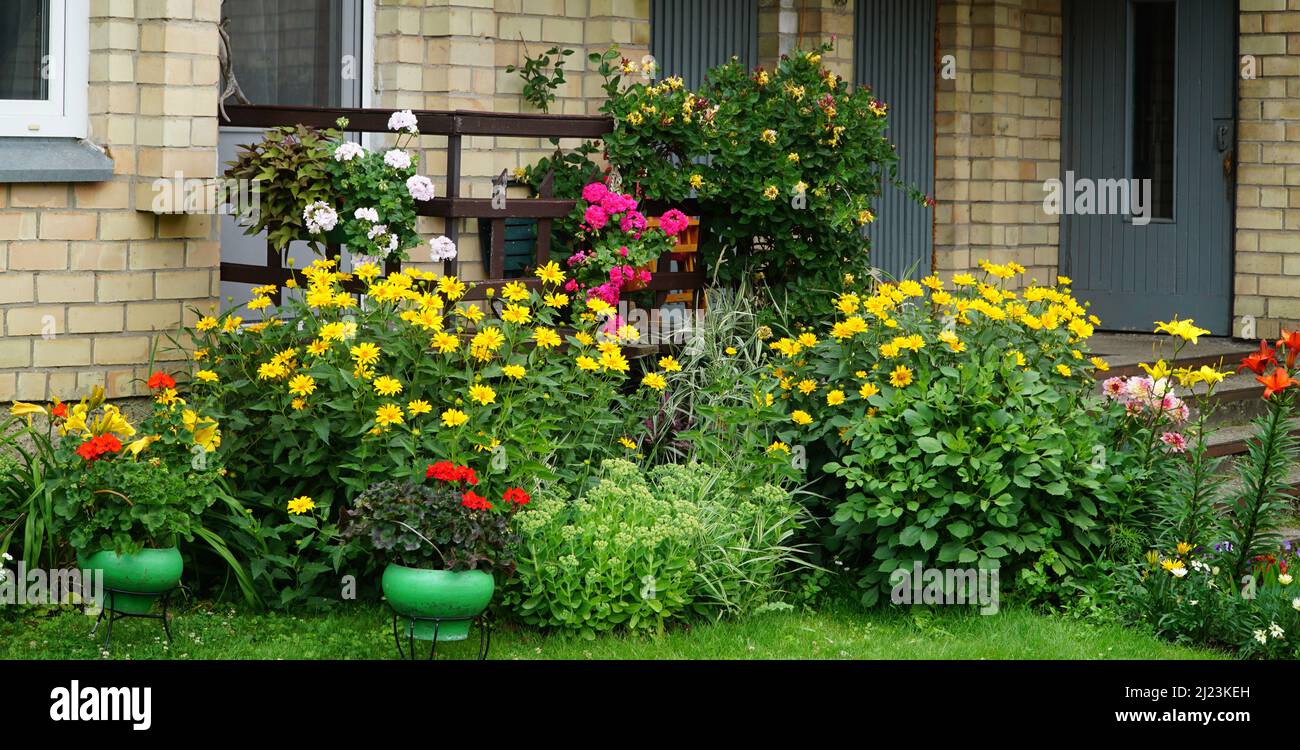 Die Veranda od kleines Haus im ländlichen Stil von mehrjährigen und jährlichen bunten Blumen im Sommer umgeben. Stockfoto