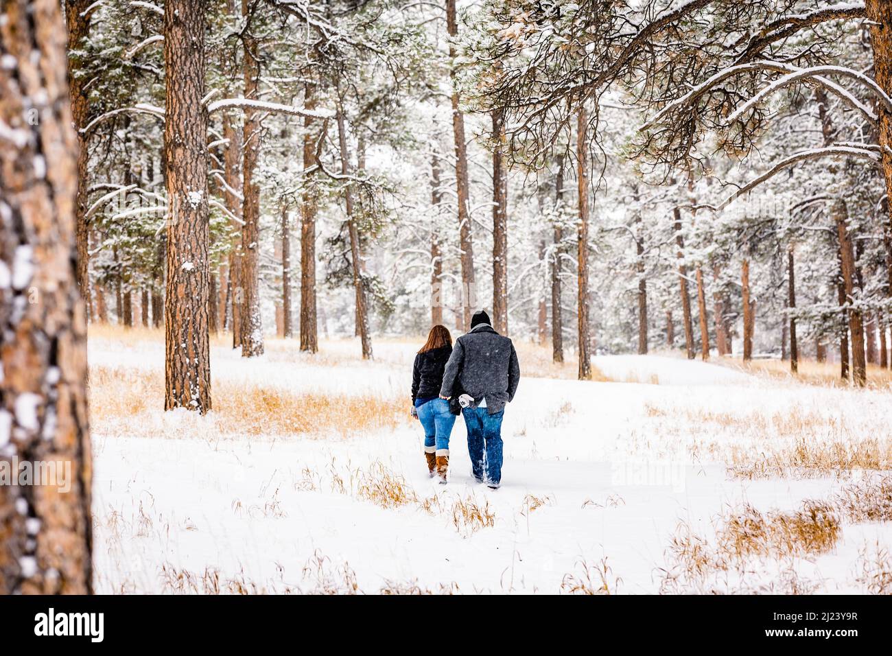 Mann und Frau gehen in einem verschneiten Kiefernwald von der Kamera weg Stockfoto