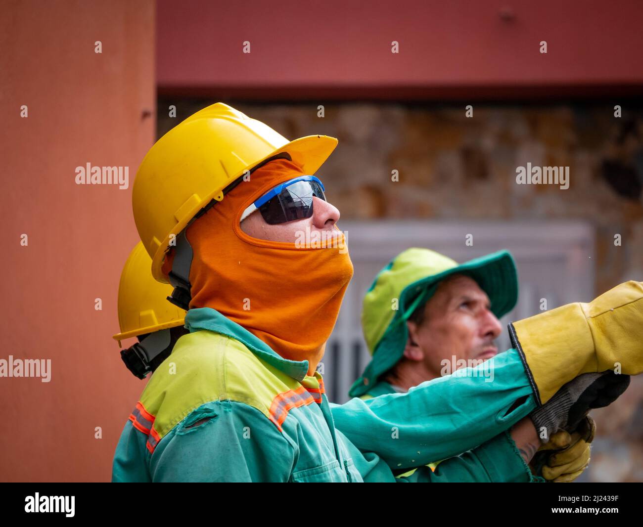 Medellin, Antioquia, Kolumbien - März 25 2022: Arbeiter in grünen Schutzanzügen und gelber Schutzmütze schauen nach oben und sehen, wie ein Stück eines Baumes fällt Stockfoto