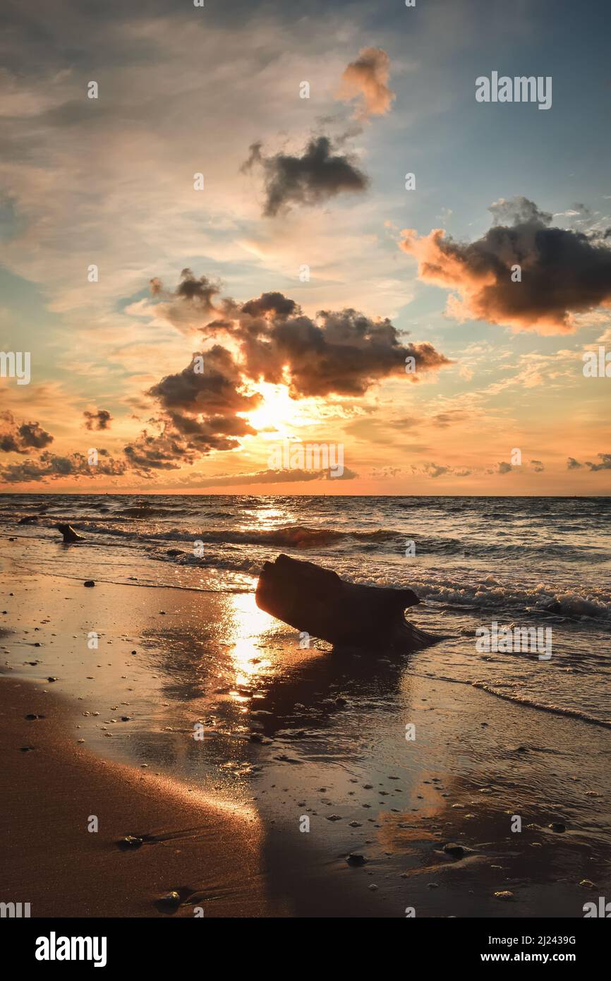 Wunderschöne Landschaft am Morgen am Meer. Baumstamm am Strand mit dem schönen Meer im Hintergrund. Stockfoto
