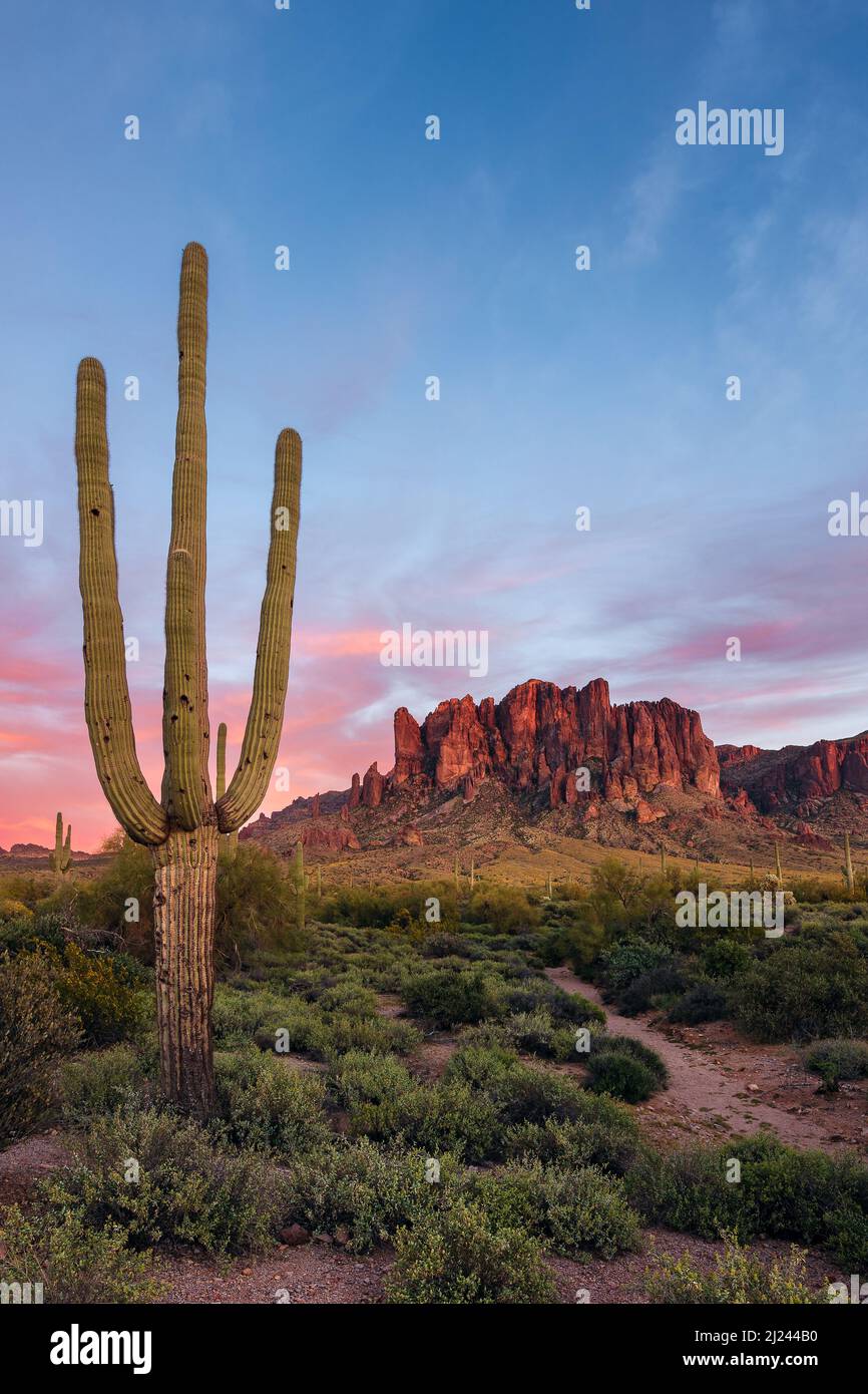 Die Superstition Mountains mit einem Saguaro Kaktus bei Sonnenuntergang in der Wüste von Arizona Stockfoto