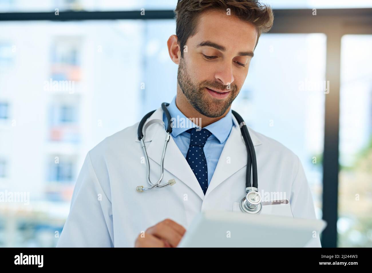 Eine zweite Meinung online bekommen. Aufnahme eines vielbeschäftigten Arztes, der die Krankenakten eines Patienten auf seiner Tablette überprüft. Stockfoto