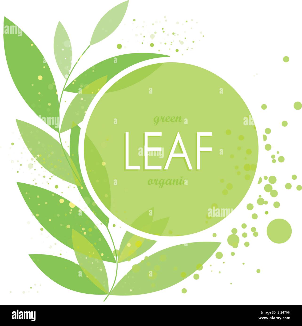 Grüne Blätter, Zweig der grünen Blätter, stilisiertes Blatt, Gestaltungselement, grünes Zeichen, Kreisrand, Design Laub, frische Blätter, abstrakt floralen Rückengrau Stock Vektor