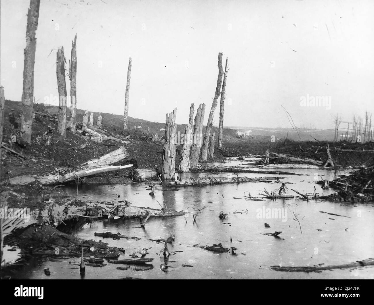 Das verwüstete Ancre-Tal während der Schlacht an der Somme im Jahr 1916 Stockfoto