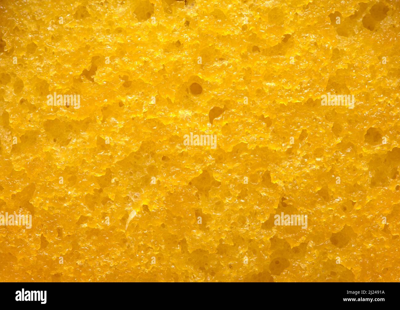 Gelbe Biskuitkuchen Nahaufnahme Hintergrundstruktur. Stockfoto