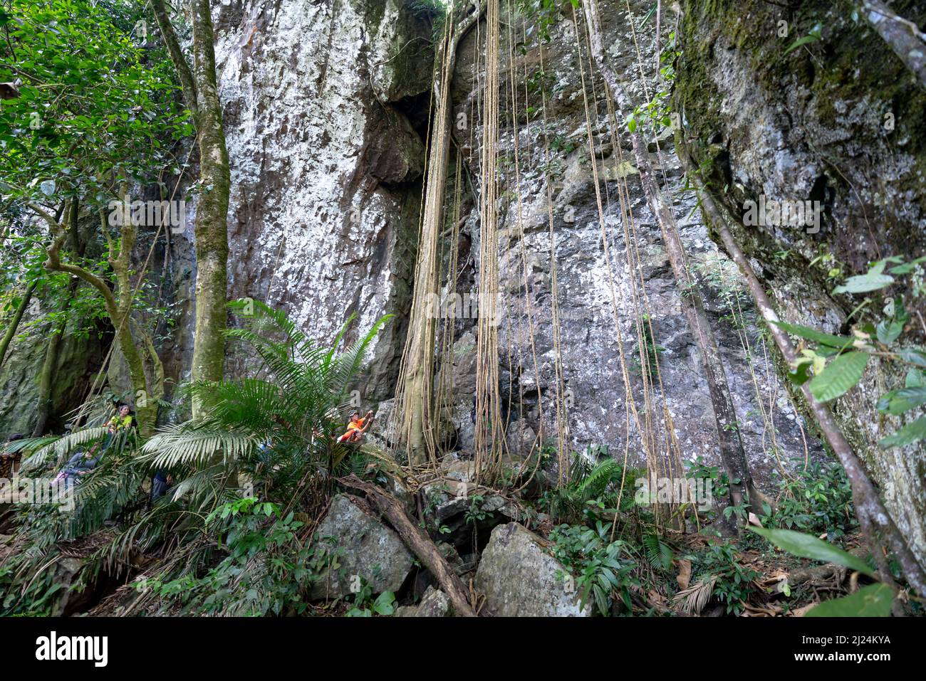 Kon Chu Rang Nature Reserve, Gia Lai Province, Vietnam, 6. März 2022: Touristen wandern durch den Wald, um den Regenwald in Kon Chu Ra zu erkunden Stockfoto