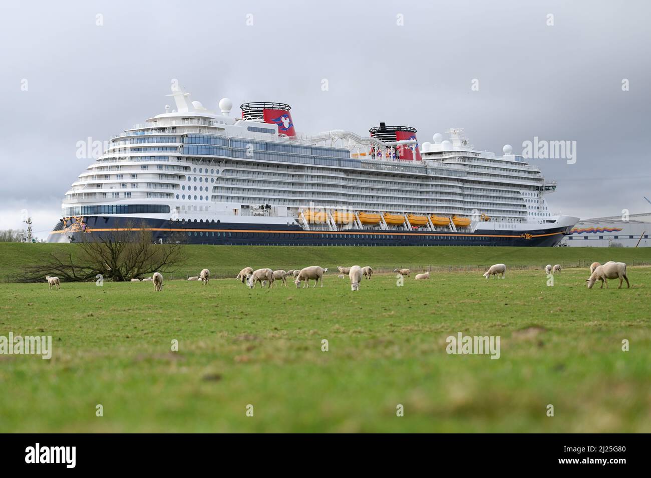 Papenburg, Deutschland. 30. März 2022. Das neu gebaute Kreuzschiff „Disney Wish“ der Meyer-Werft in Papenburg hat die Werft verlassen und macht sich am Mittwoch auf der Ems in Richtung Nordsee auf den Weg. Quelle: Lars Klemmer/dpa/Alamy Live News Stockfoto