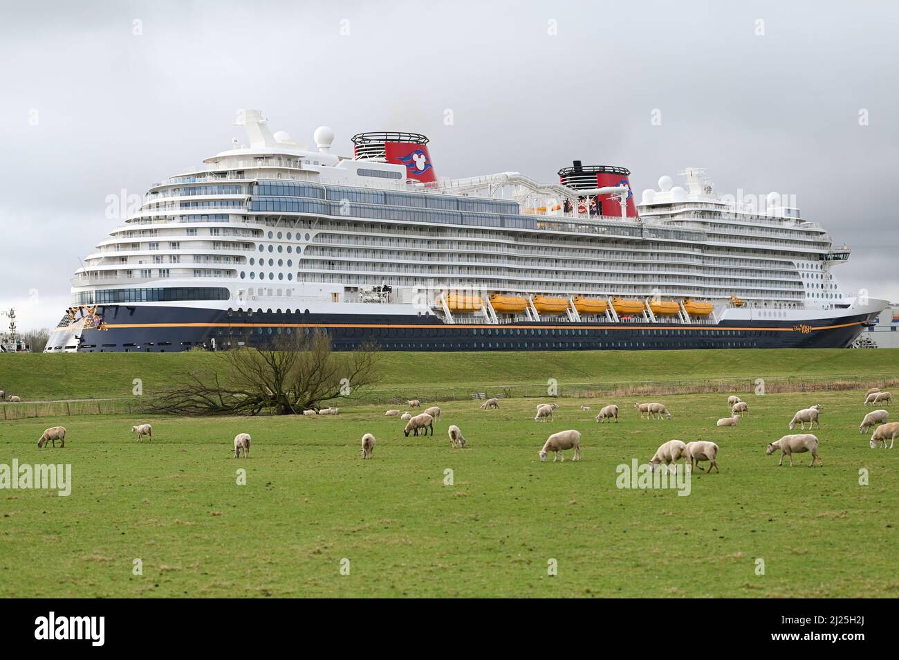 Papenburg, Deutschland. 30. März 2022. Das neu gebaute Kreuzschiff „Disney Wish“ der Meyer-Werft in Papenburg hat die Werft verlassen und macht sich am Mittwoch auf der Ems in Richtung Nordsee auf den Weg. Quelle: Lars Klemmer/dpa/Alamy Live News Stockfoto