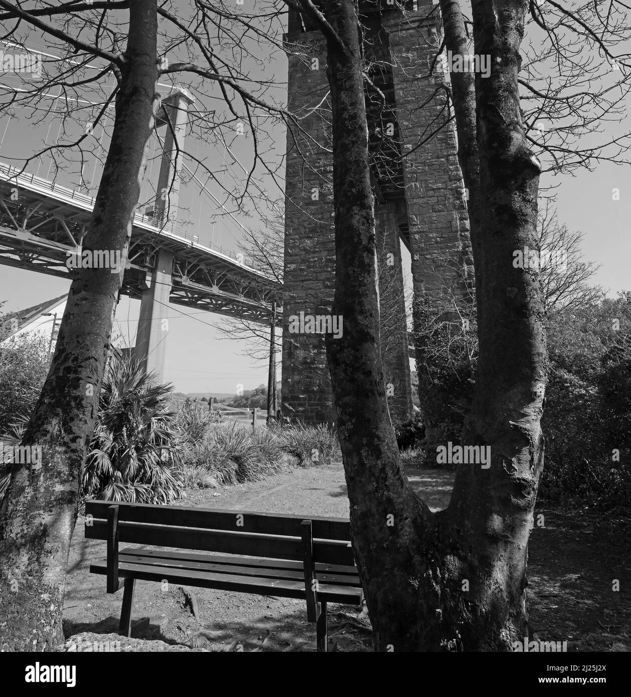 Die Schwarz-Weiß-Ansicht einer leeren Bank in einem abgelegenen Park unter der Royal Albert Bridge in Saltash bietet den Besuchern einen Blick auf den Fluss Tamar und Th Stockfoto