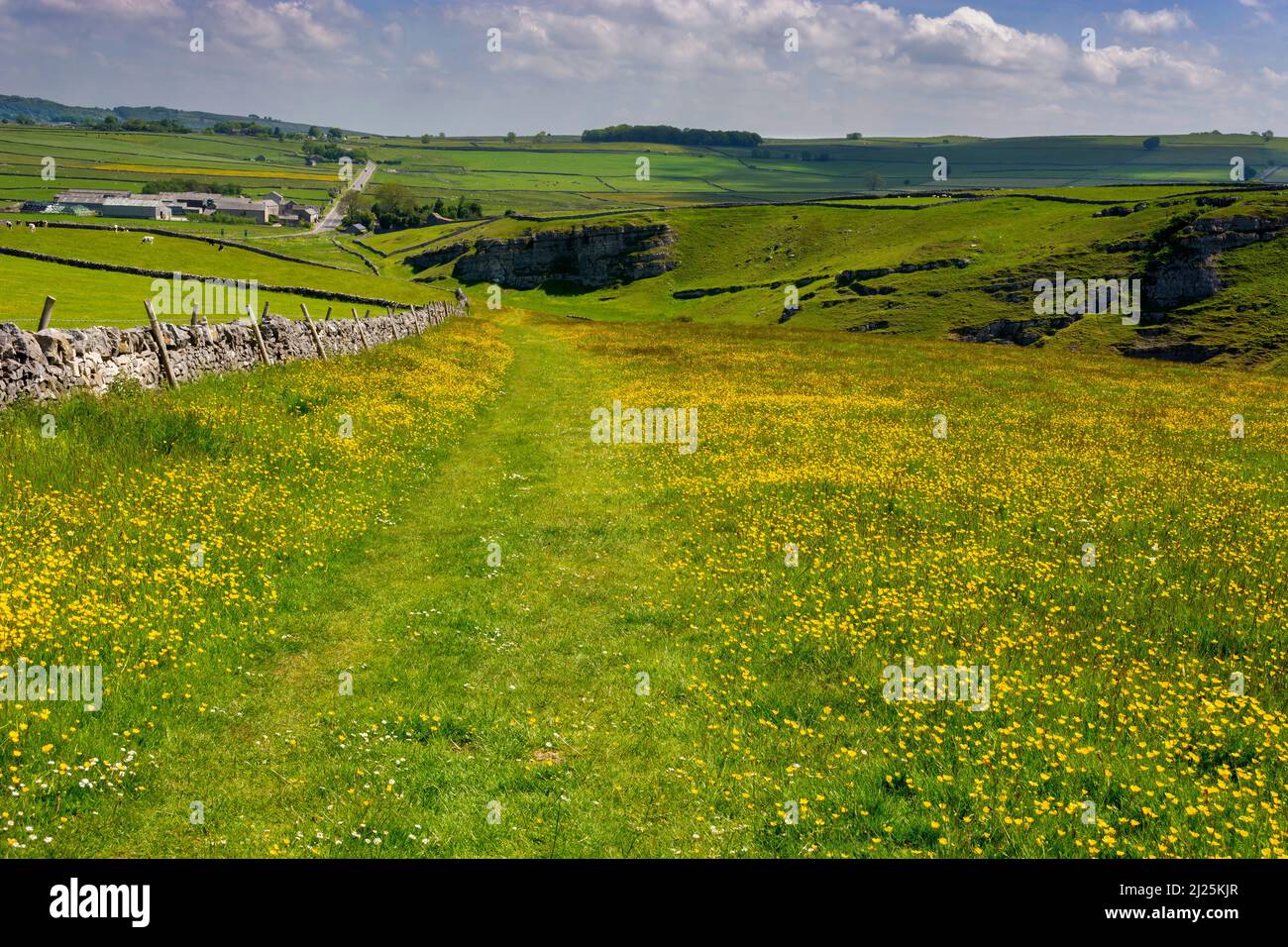 Cressbrook Dale NNR, Peak District National Park, Derbyshire Stockfoto