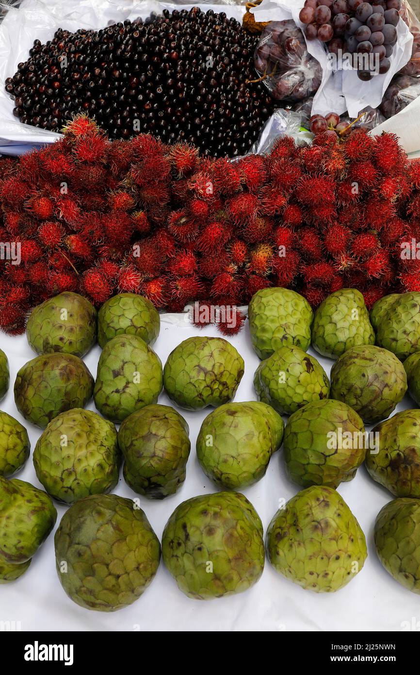 Obst verkauft in Cuenca, Ecuador Stockfoto