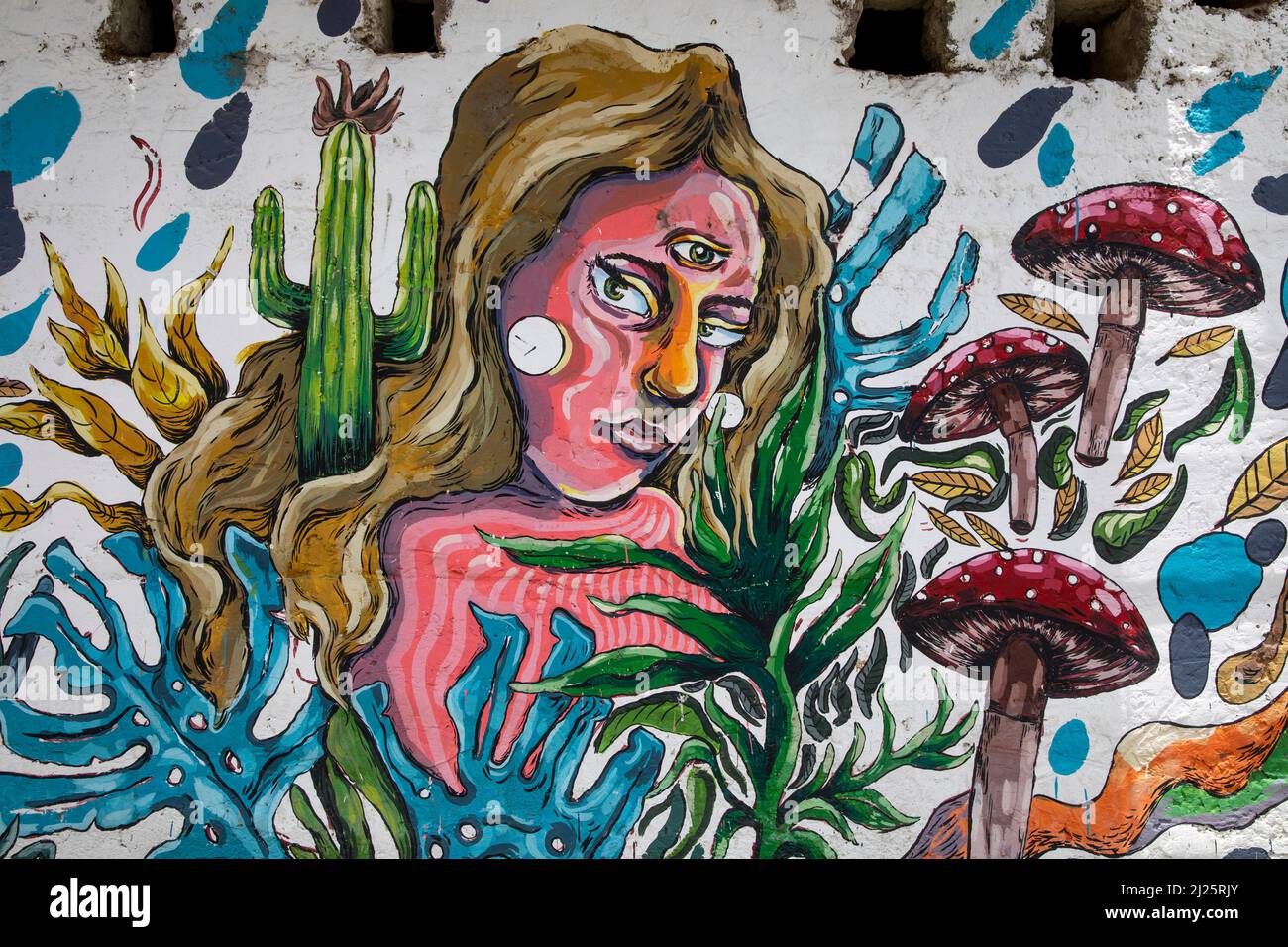 Wandkunst in Vilcabamba, Ecuador. Halluzinogene Drogen. Stockfoto